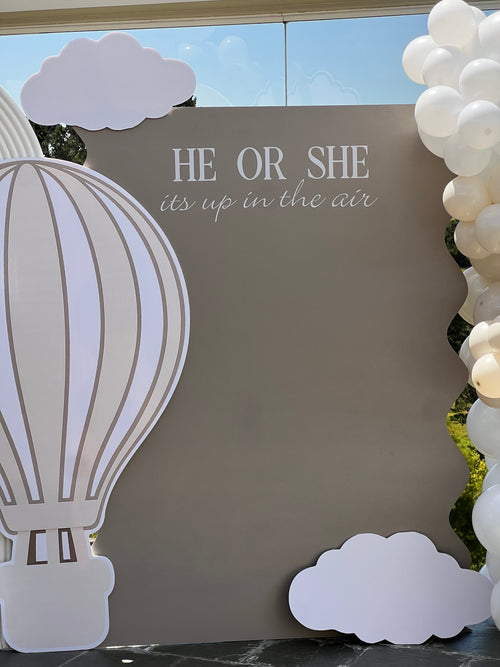"HE OR SHE, IT'S UP IN THE AIR" - BACKDROP PACKAGE